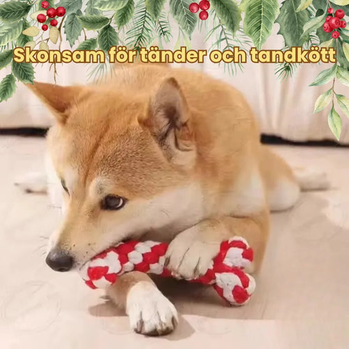 Christmas set with 8 tug toys for dogs Gentle on teeth and gums - Petifo