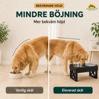 Adjustable Raised Bowl less bending - Petifo