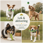 Tug toys 10 pack play & activation - Petifo