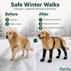 Before-and-after winter walking comparison showing a dog's cold paws protected and kept dry with full-coverage winter boots and harness.