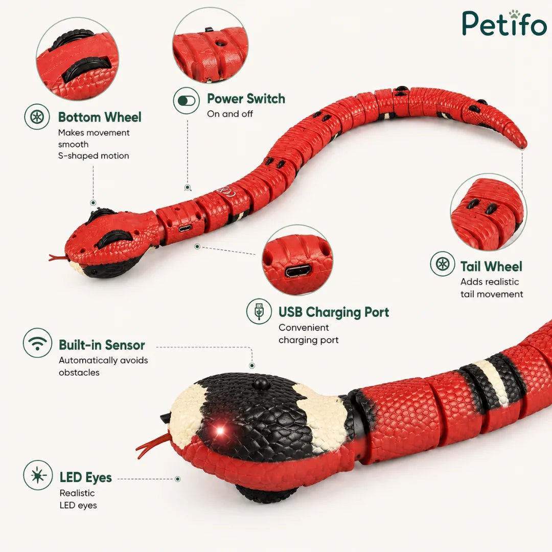 Feature breakdown diagram highlighting the bottom wheel, power switch, LED eyes, and sensor of the toy snake.