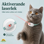 Laser Collar activating - Petifo