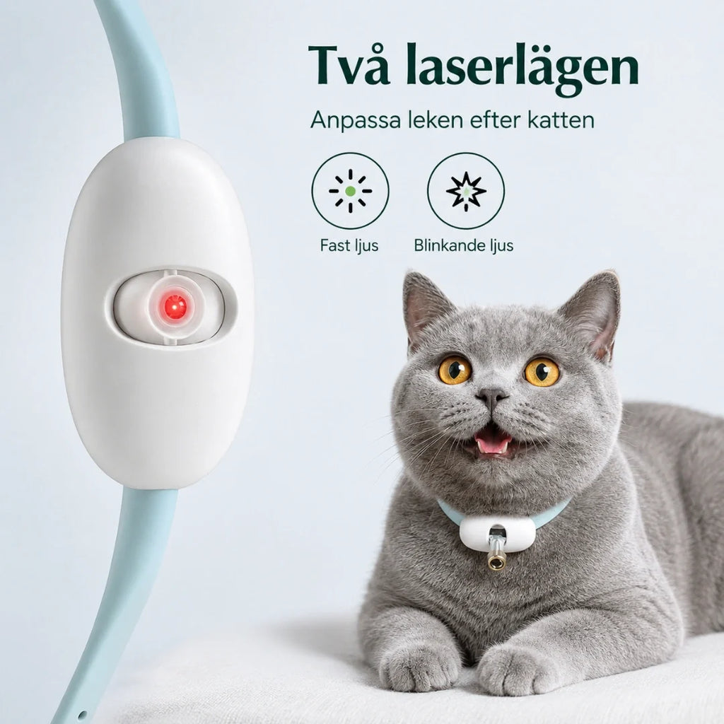 Laser Collar two laser modes - Petifo