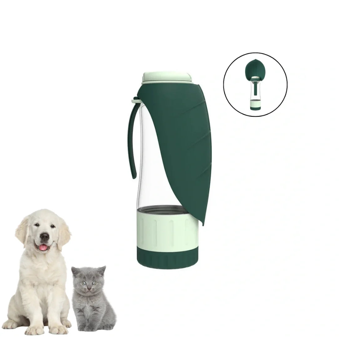 Leaf Bottle - Petifo