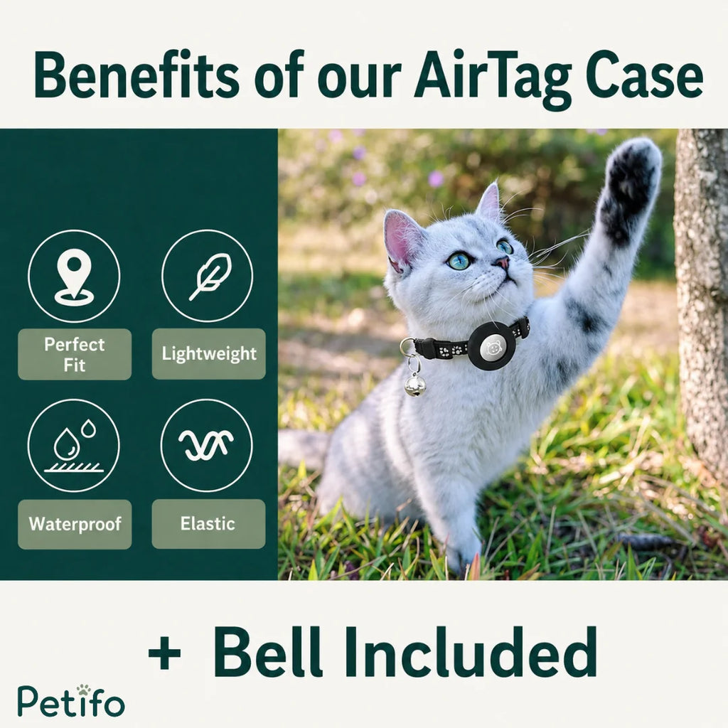 Product benefits overview highlighting lightweight, waterproof, elastic, and perfect fit features with a cute cat playing outdoors.