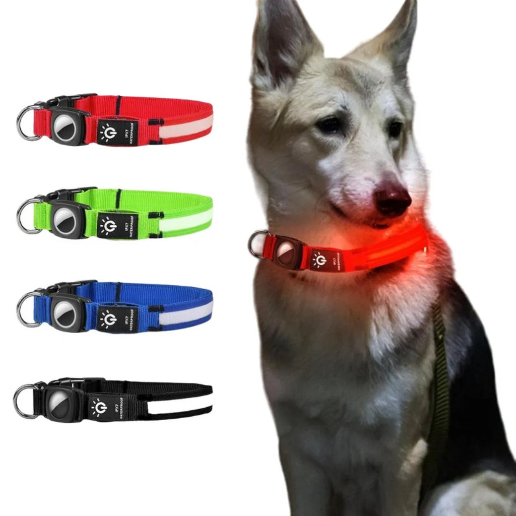 Glowing AirTag collar For dogs Colours - Petifo