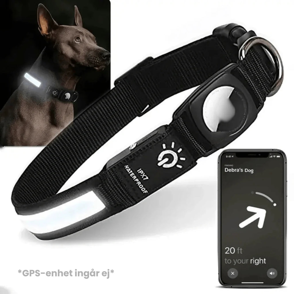 Glowing AirTag collar For dogs Black- Petifo