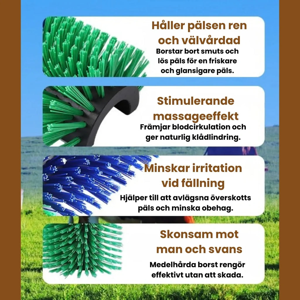Massage brush for horse Keeps the coat clean and well-groomed - Petifo