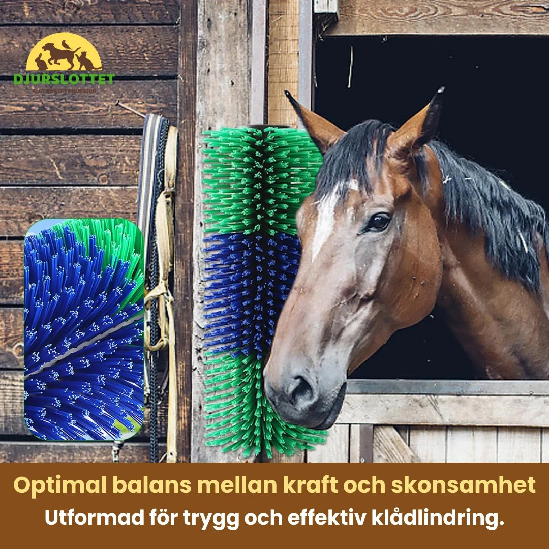 Massage brush for horse Optimal balance between power and gentleness - Petifo