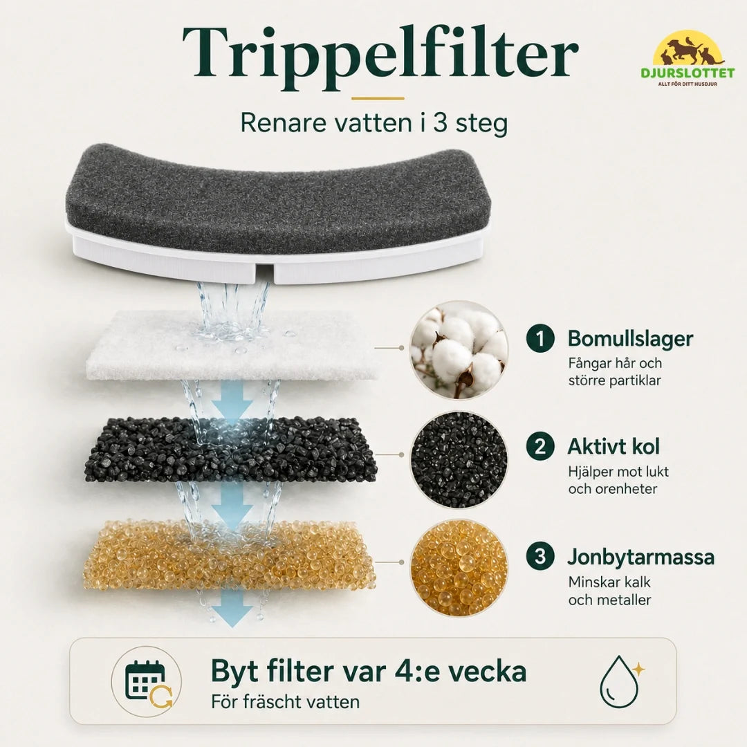 MealStream Water Fountain with Food Bowl triple filter - Petifo