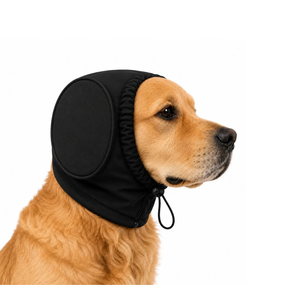 Ear muffs for dogs in size M – Petifo