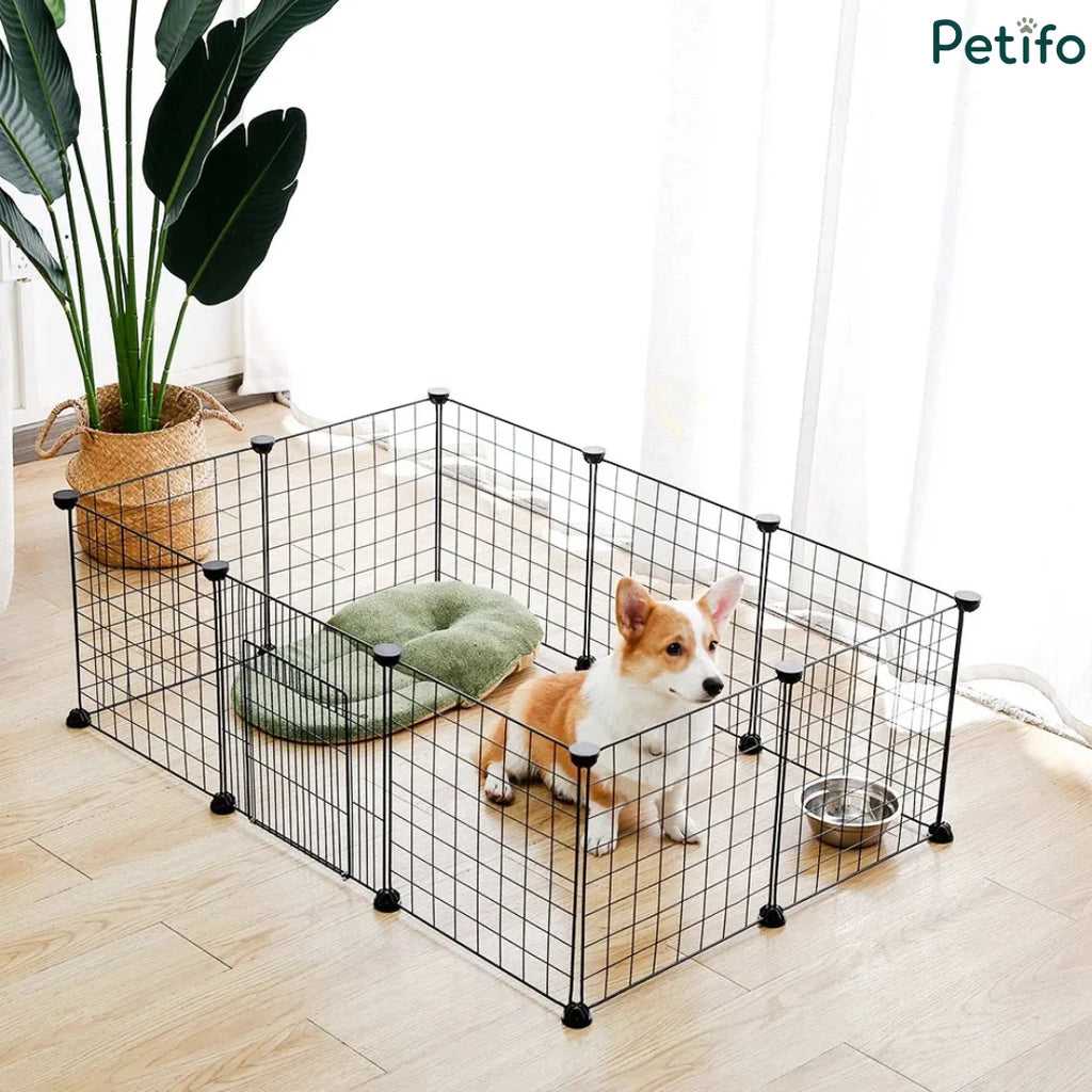 Corgi puppy inside a modular Petifo black wire dog playpen with a door and resting mat.