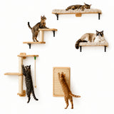 PAWZ aan de muur bevestigde krabplank