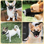 Dog Muzzle -Petifo