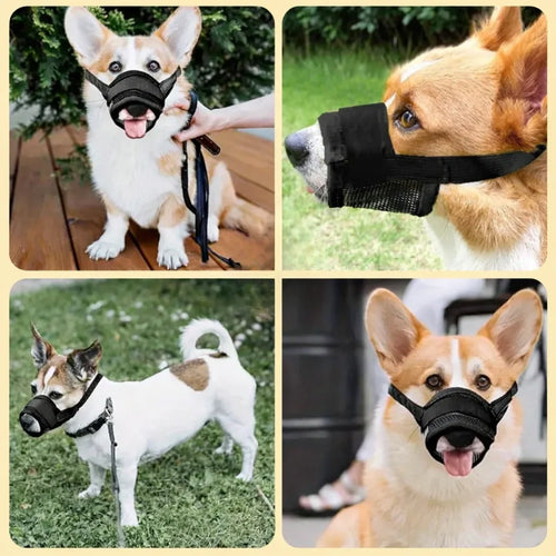 Dog Muzzle -Petifo
