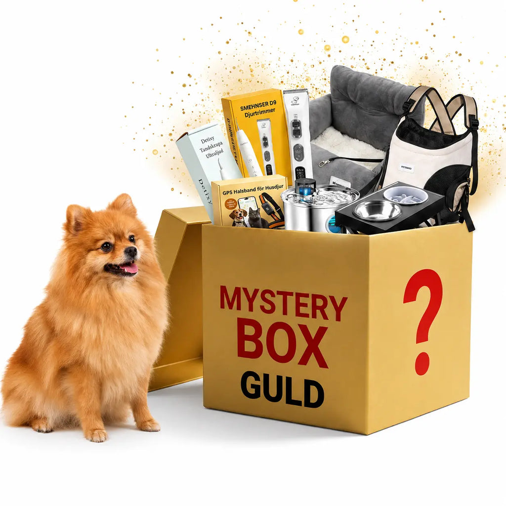 Mystery Box - Petifo