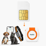 Carte SIM avec 1 an de données pour collier GPS pour animaux