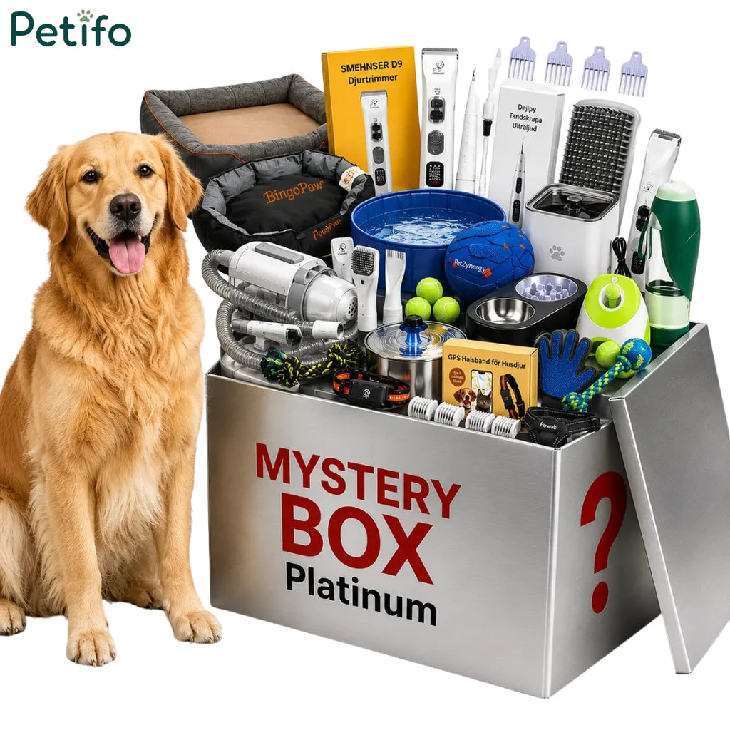 Petifo Platinum luxury pet mystery box overflowing with toys and grooming tools next to a golden retriever.