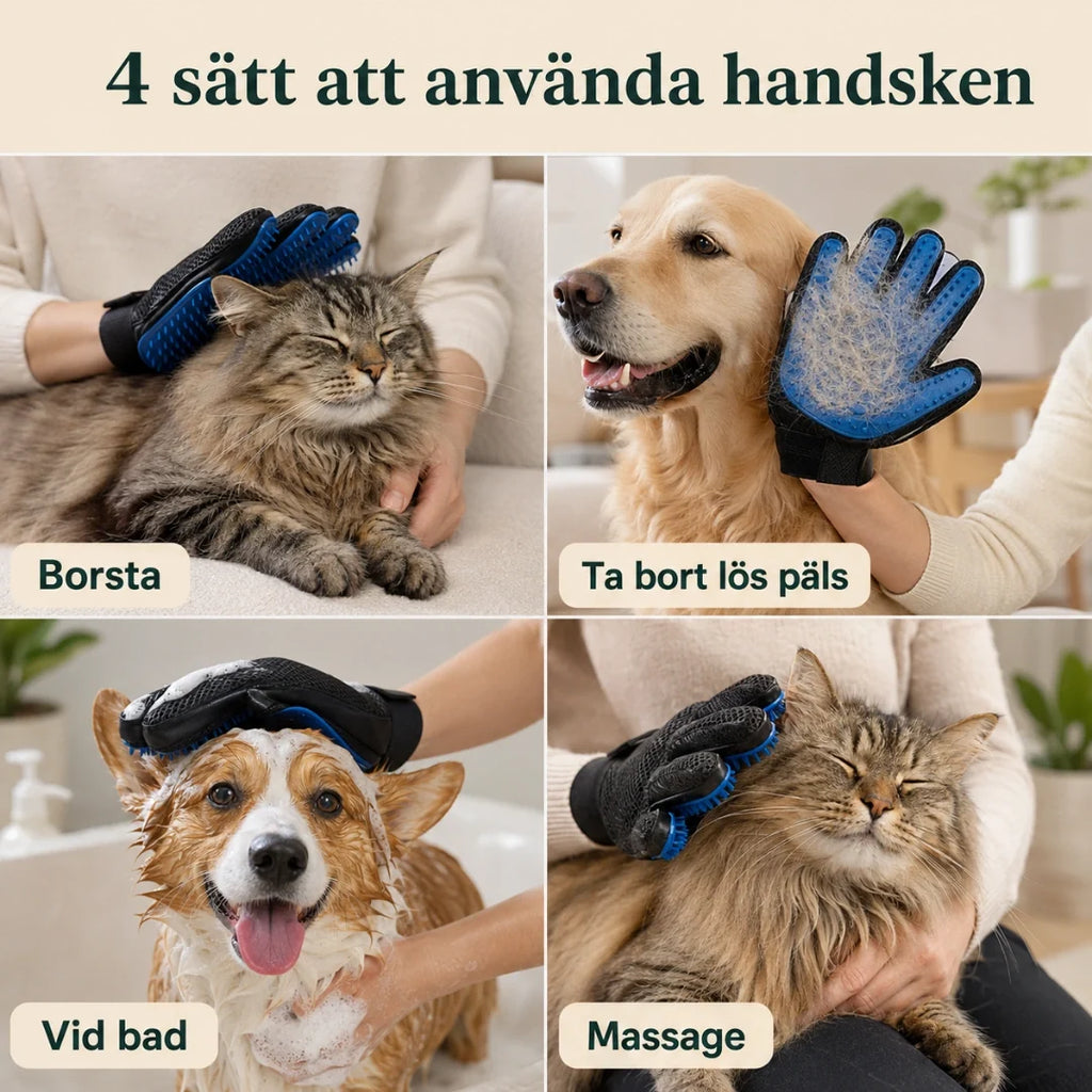 Grooming Glove using the glove - Petifo