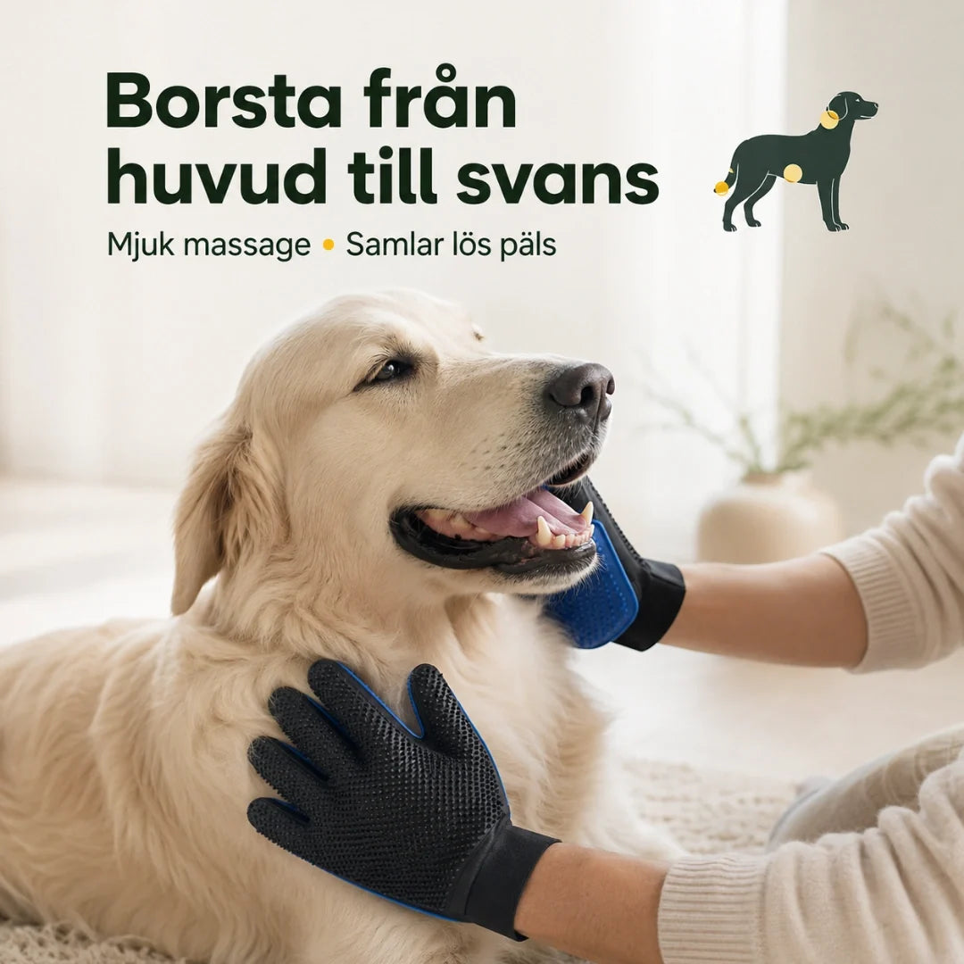 Grooming Glove brush from head to tail - Petifo