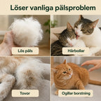 Grooming Glove common coat problems - Petifo