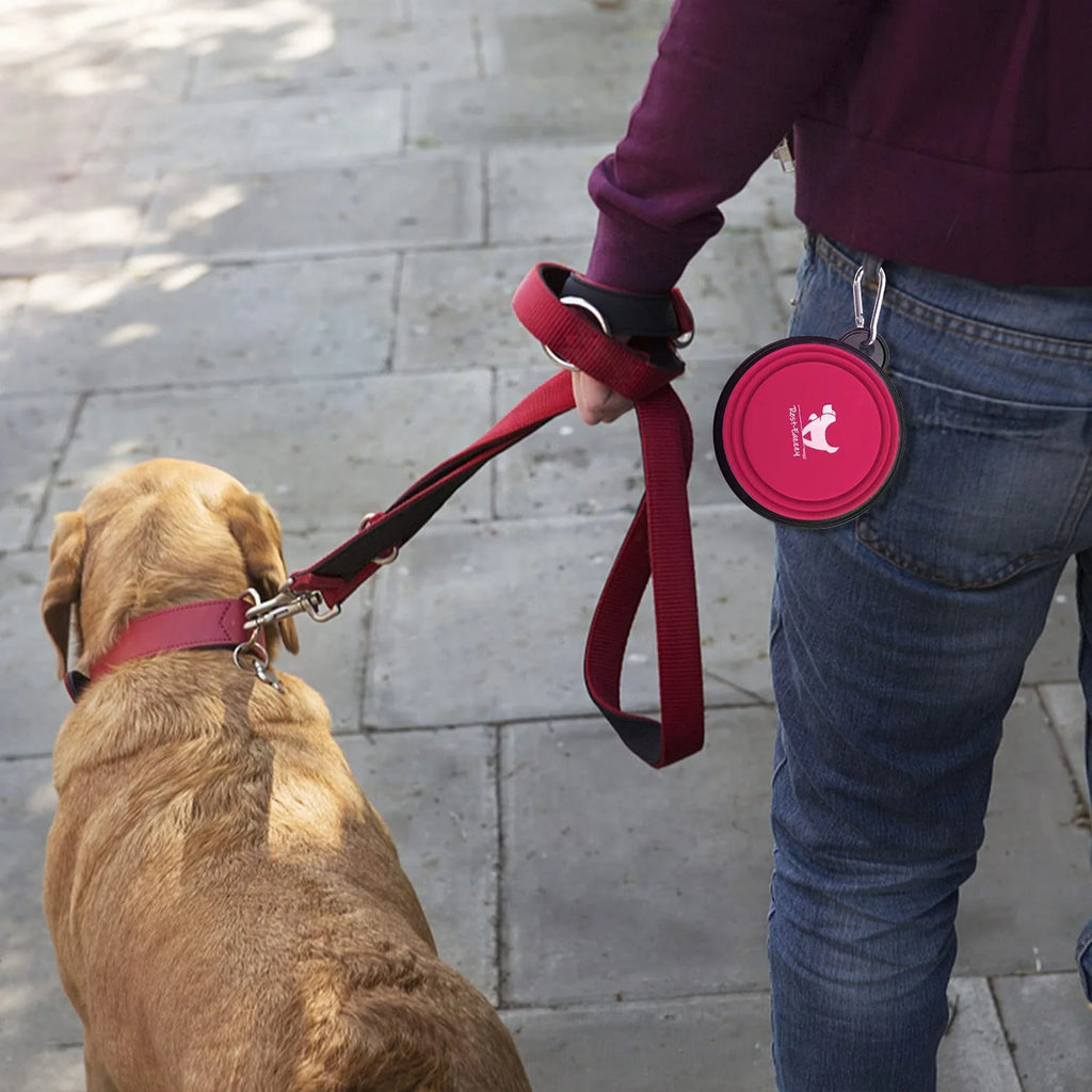 Person walking dog with pink collapsible bowl clipped to belt loop