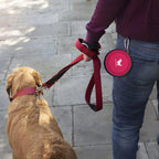 Person walking dog with pink collapsible bowl clipped to belt loop