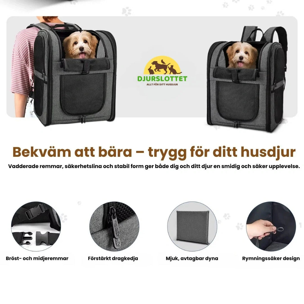 PetPacker Backpack Comfortable to carry – safe for your pet Petifo