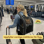 PetPacker Backpack for Dogs and Cats Meets common size requirements for flights.  Petifo