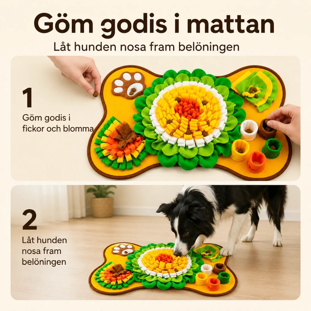 PetSniff Activity Mat treats in the mat - Petifo