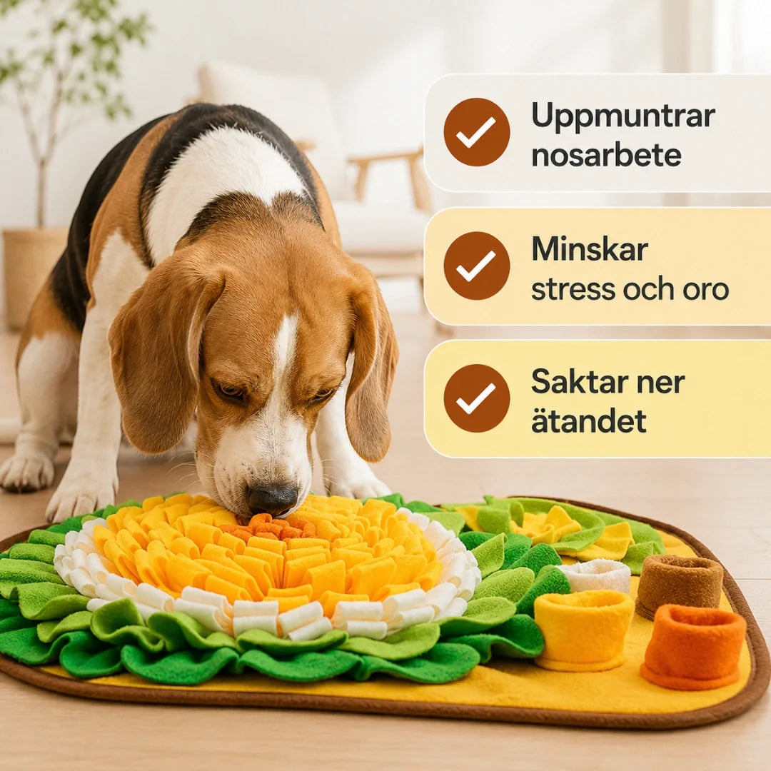 PetSniff Activity Mat encourages sniffing work - Petifo