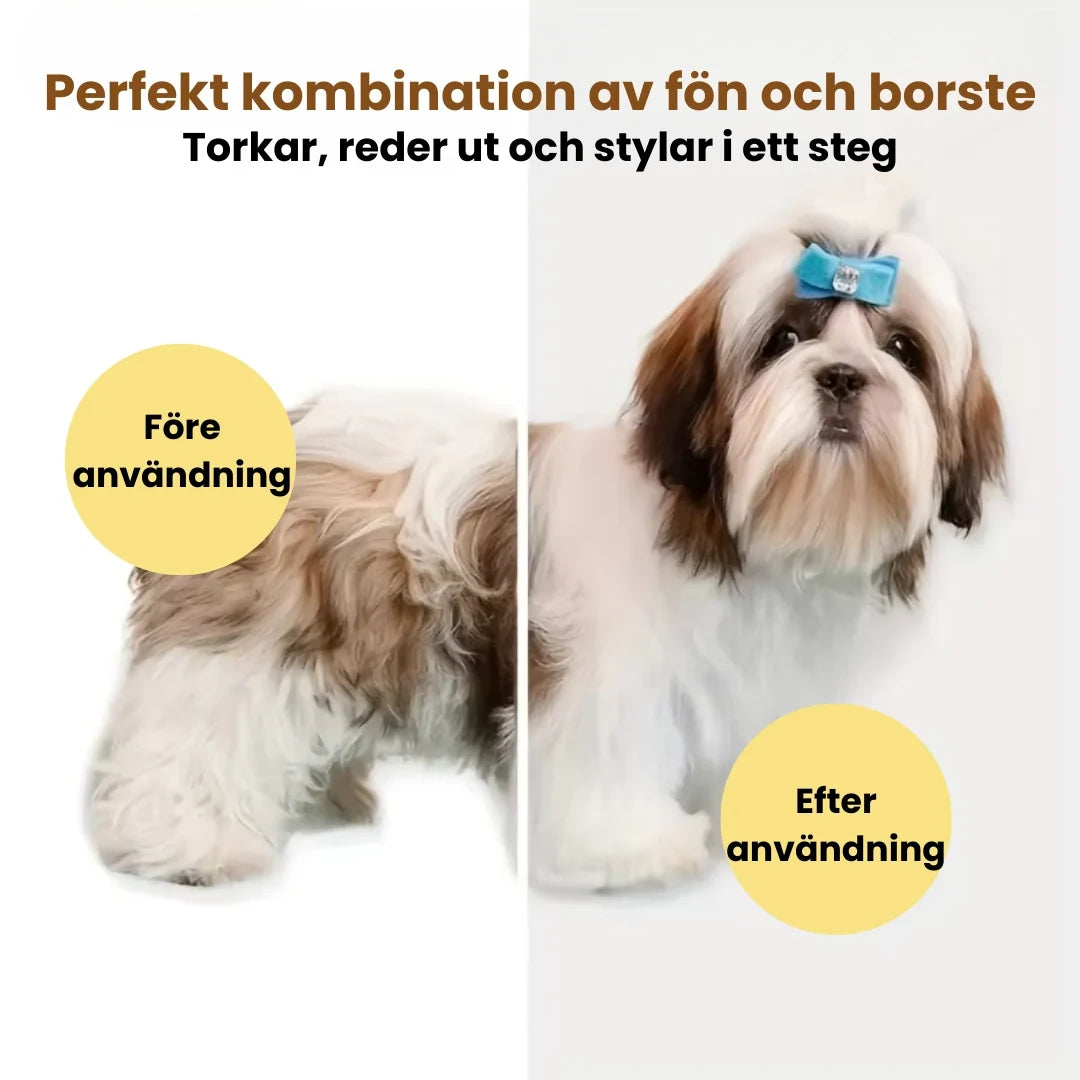 Petdryer Pet Dryer - Petifo