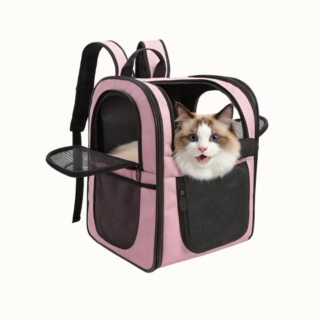 Pink and black breathable mesh pet travel backpack carrying an excited fluffy cat with blue eyes.