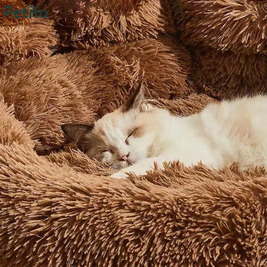 A close-up view of a cute kitten sleeping cozily nestled inside a plush brown paw bed.