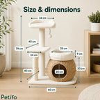Annotated diagram illustrating the overall height of 79 cm, base width of 60 cm, and precise dimensions of each tier and opening.