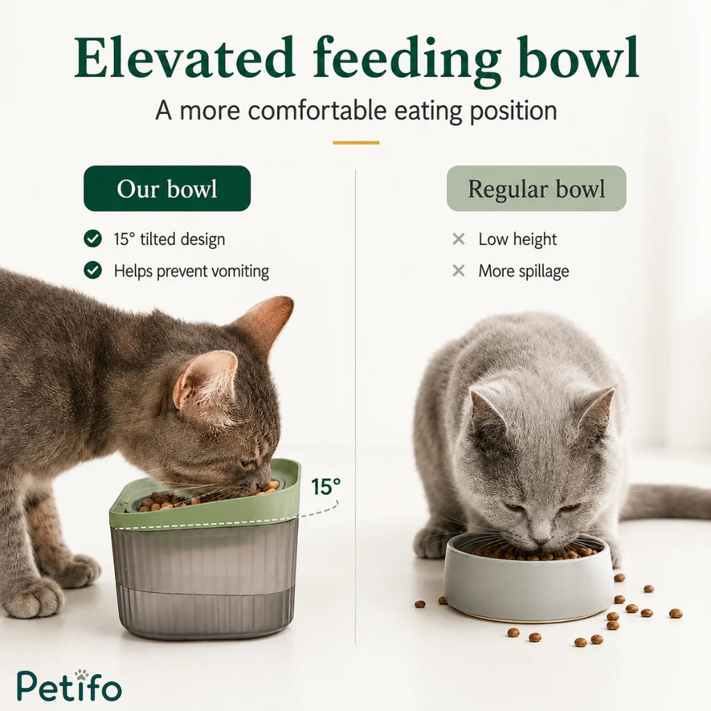 Comparison graphic showing the ergonomic 15-degree tilted feeding bowl prevents vomiting compared to regular flat bowls.