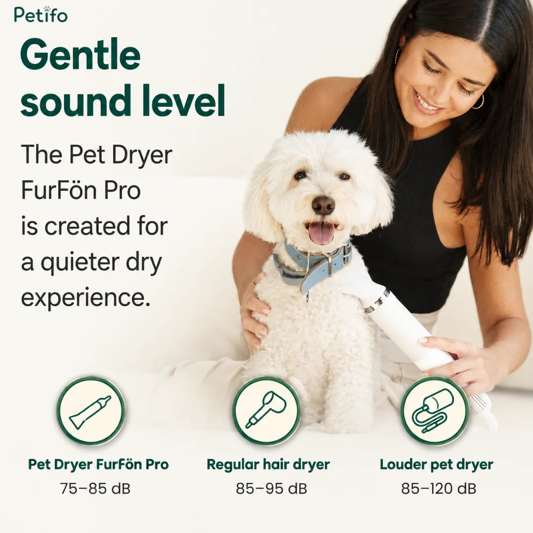 Petifo FurFön Pro pet dryer showing a gentle sound level of 75-85 dB for a quieter drying experience with a white poodle.
