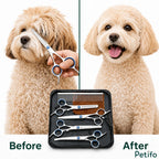 Before and after transformation of a cute poodle mix groomed with professional styling tools.