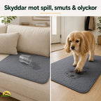 PupClean Washable Puppy Pad protects against spills - Petifo