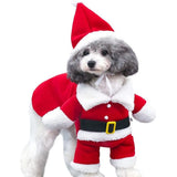 Kerstoutfit voor honden en katten