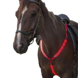 Plastron LED rechargeable pour chevaux