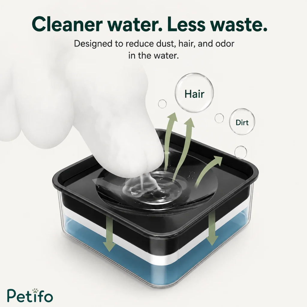 Filtered pet water bowl designed to capture hair, dust, and reduce odors for cleaner hydration.