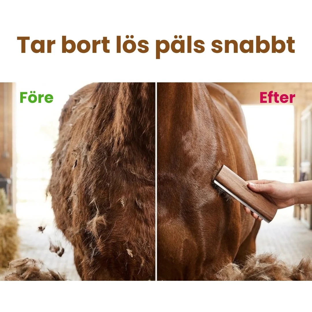 Cleaning brush for horse coats Removes loose hair quickly - Petifo