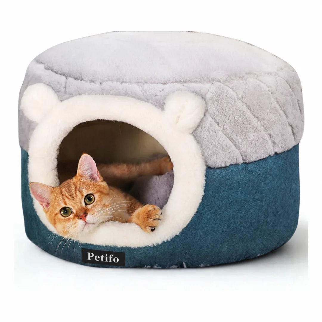 Cute ginger cat resting comfortably inside the enclosed Petifo cave cat bed