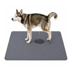 Husky dog using a large grey reusable pet training mat for housebreaking.