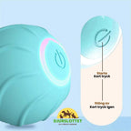 Rolling Ball Independent play - Petifo