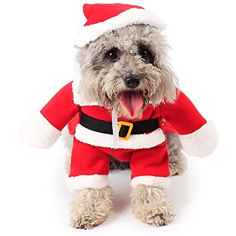 Christmas Outfit for Dogs and Cats - djurslottet