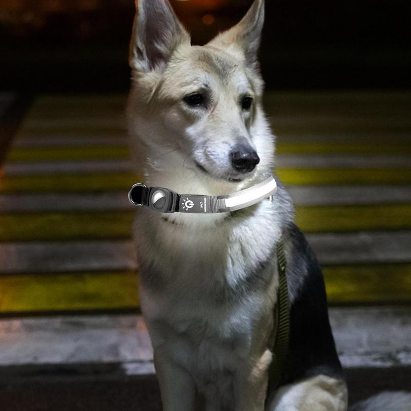 AirTag Collar Cat,
AirTag Dog Collar, Glowing AirTag collar For dogs- Petifo