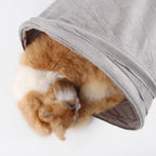 Foldable Cat Tunnel Mocca - Petifo