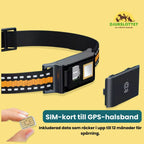 SIM card for GPS collar with included data for 12 months Petifo